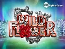 Wild Flowers