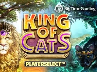 King of Cats