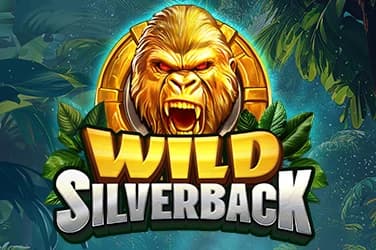 Wild Silverback