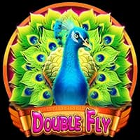 Double Fly
