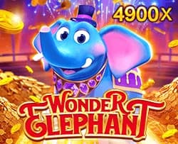 Wonder Elephant