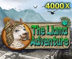The Llama Adventure