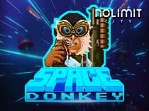 Space Donkey