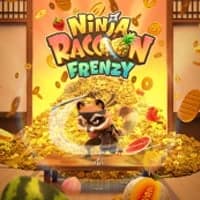 Ninja Raccoon Frenzy