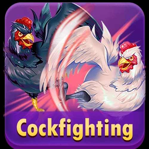 Cockfighting
