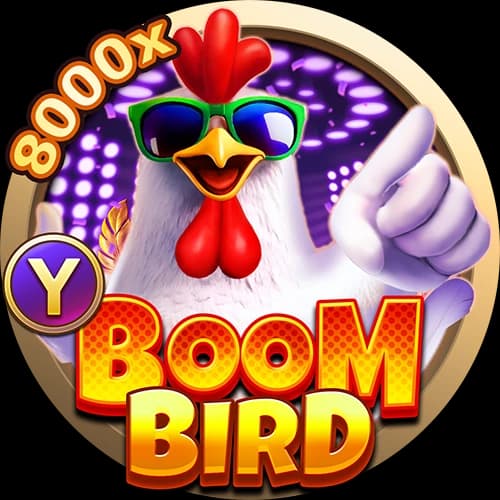 Boom Bird