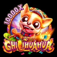 CHILIHUAHUA