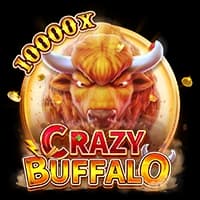 CRAZY BUFFALO