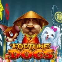 Fortune Dogs