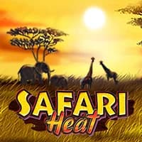 Safari Heat