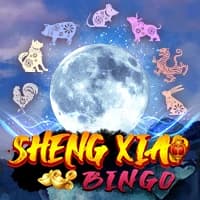 Sheng Xiao Bingo