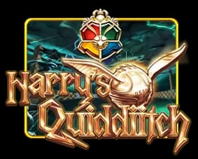 Harry's Quiddiitch