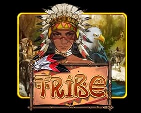 Tribe