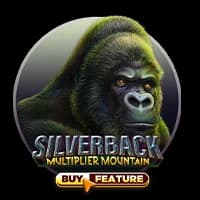 Silverback Multiplier Mountain