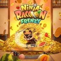 Ninja Racoon Frenzy