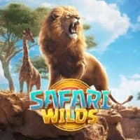 Safari Wilds