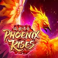 Phoenix Rises 