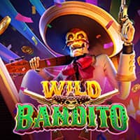Wild Bandito