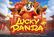 Lucky Panda