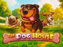 The Dog House