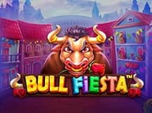 Bull Fiesta