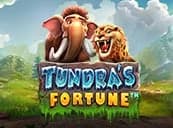 Tundra’s Fortune
