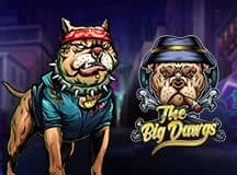 The Big Dawgs