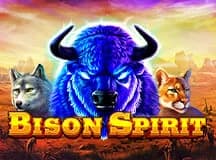 Bison Spirit