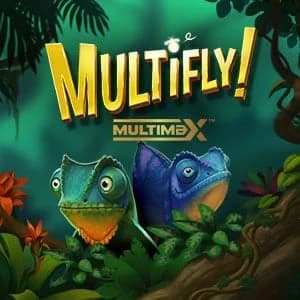 Multifly!