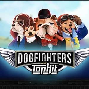 Dog Fighters - Their Finest Hour