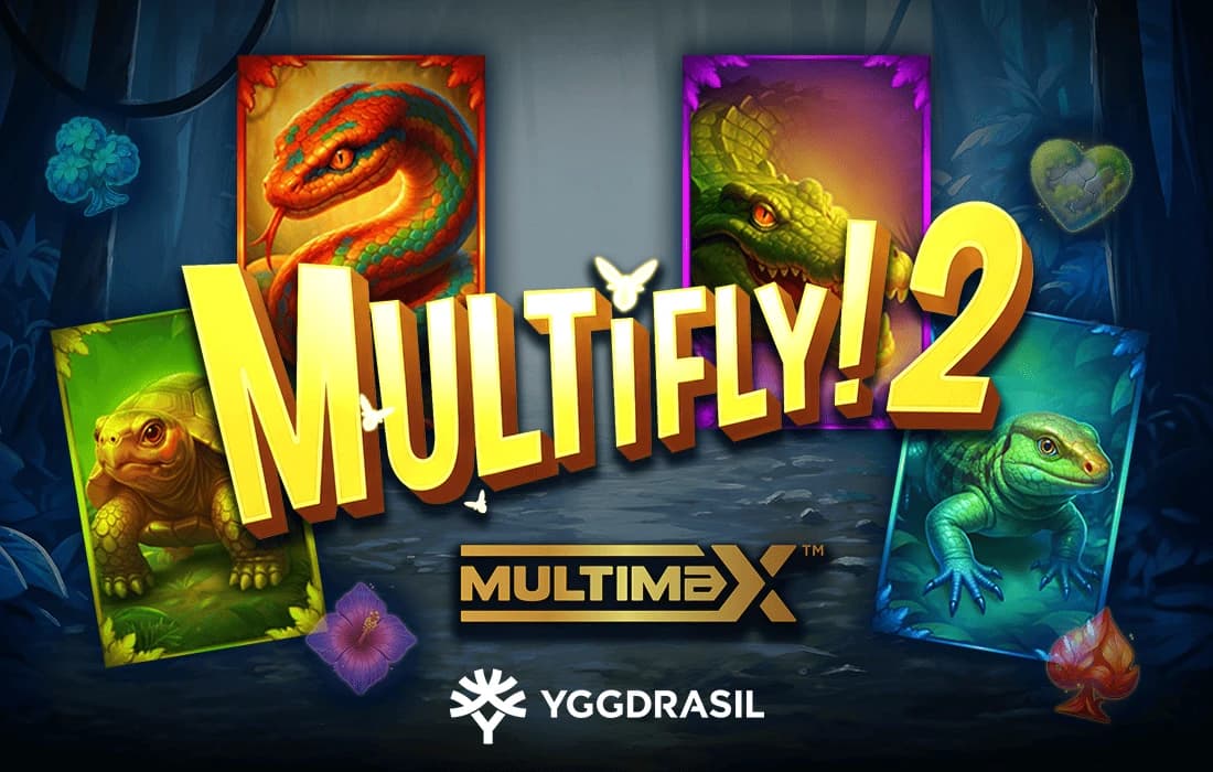 MultiFly! 2 MultiMax™